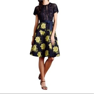 Byron Lars Beauty Mark Anthropologie Sunrose Dress 🌻